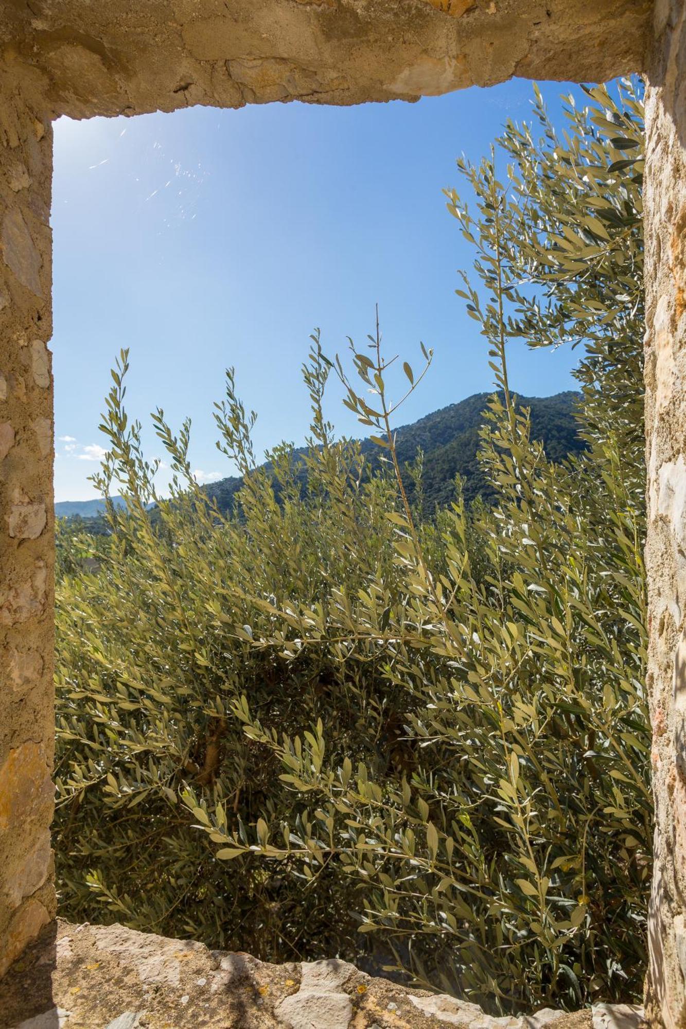 Finca Es Castell Binibona Esterno foto