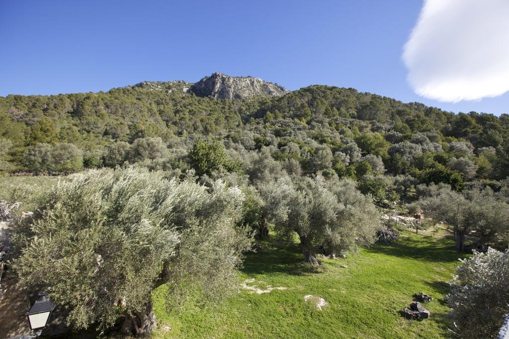 Finca Es Castell Binibona Esterno foto